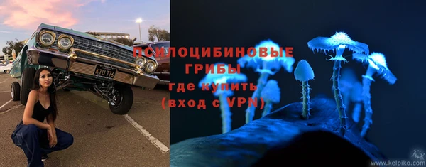 apvp Абаза