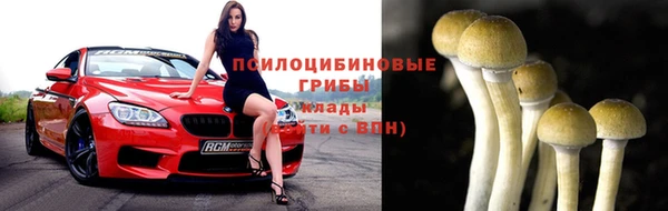 apvp Абаза