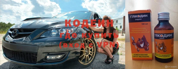 индика Кукмор